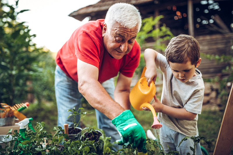 Photo of grandpa gardening with grandson