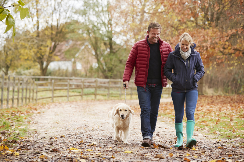 Photo of retired couple walking their dog